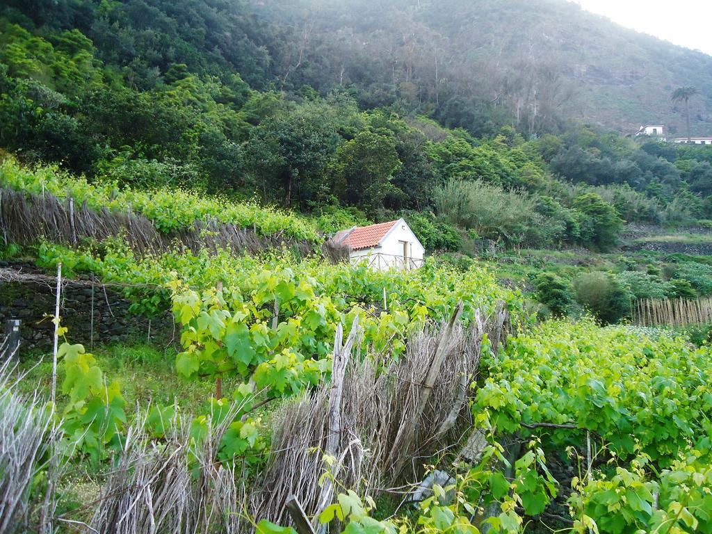 Vila A Casa Estrelicia-Dourada Garces São Vicente Exteriér fotografie