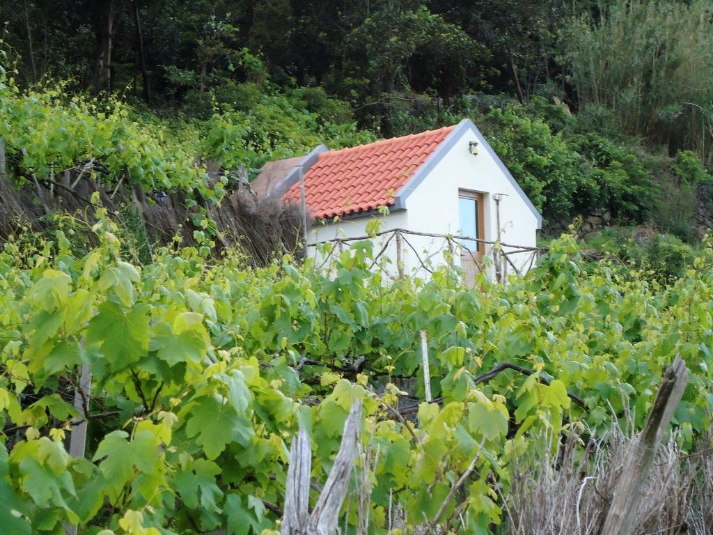 Vila A Casa Estrelicia-Dourada Garces São Vicente Exteriér fotografie