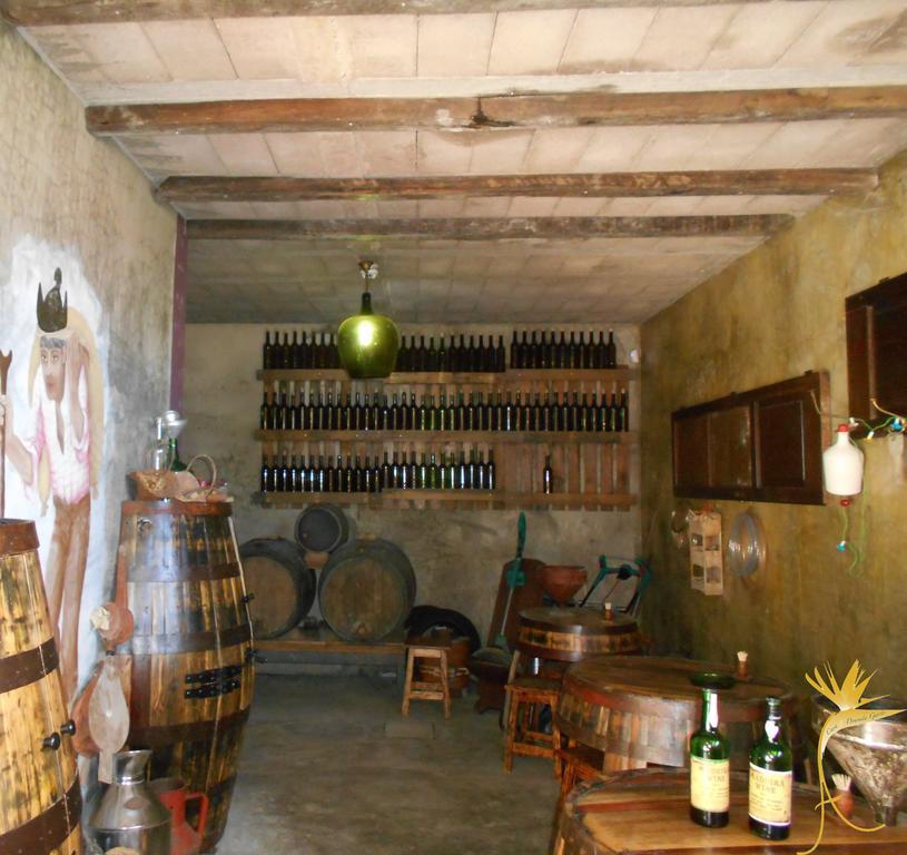 Vila A Casa Estrelicia-Dourada Garces São Vicente Exteriér fotografie